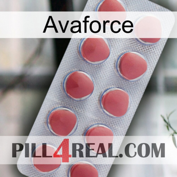 Avaforce 18.jpg